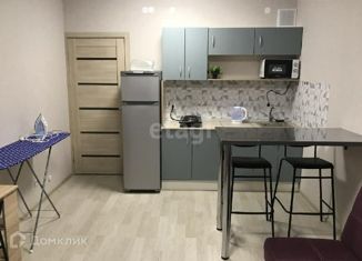 Сдается в аренду квартира студия, 23 м2, Пермь, Буксирная улица, 10