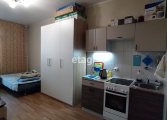 Продается квартира студия, 26.5 м2, Санкт-Петербург, метро Ленинский проспект, проспект Народного Ополчения, 10