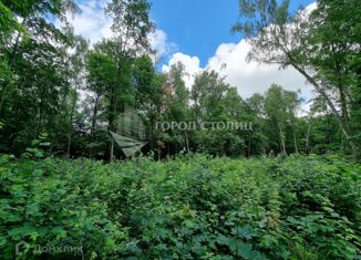 Земельный участок на продажу, 5.14 сот., деревня Малое Видное