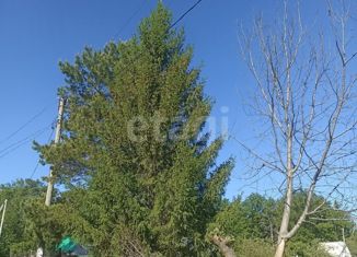 Продаю участок, 6 сот., СНТ Ильмень, 8-й проезд