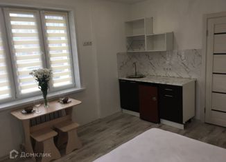 Продажа квартиры студии, 28.15 м2, Новосибирск, метро Площадь Ленина, Красный проспект