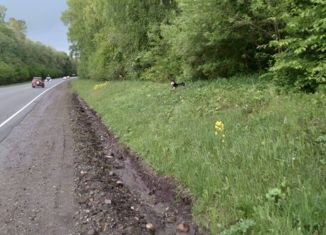 Продам земельный участок, 20 сот., село Нижнекаянча, Центральная улица, 58