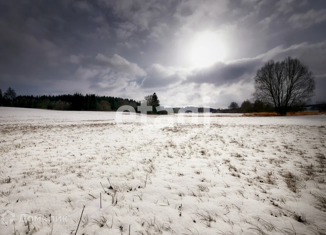 Земельный участок на продажу, 100 сот., село Никольское
