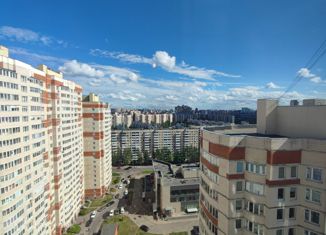 Продаю двухкомнатную квартиру, 56.4 м2, Санкт-Петербург, улица Ворошилова, 31к1, метро Ладожская