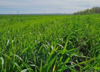 Продаю участок, 18.8 сот., село Расловка 1-я