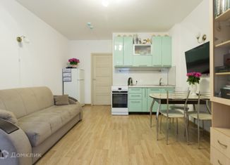 Продаю квартиру студию, 25 м2, Санкт-Петербург, метро Проспект Ветеранов