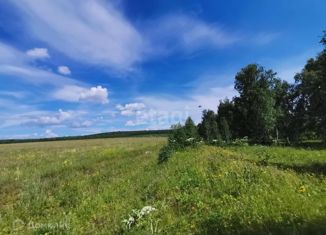 Продам участок, 600 сот., деревня Кударейка, 25Н-223