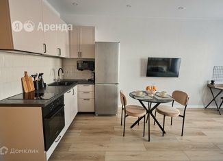 Сдаю квартиру студию, 31 м2, Казань, Советский район, улица Анаса Тазетдинова, 4