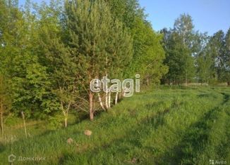 Продается земельный участок, 13.1 сот., село Каменка, Школьная улица