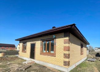 Продам дом, 100 м2, деревня Елкибаево, Деловая улица, 15В