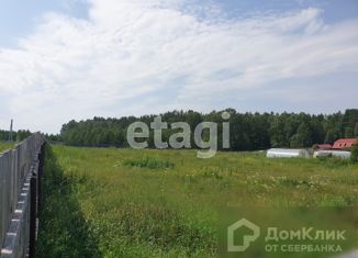 Продам участок, 10 сот., деревня Кривина, Центральная улица