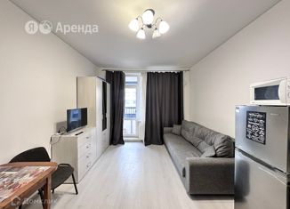 Квартира в аренду студия, 25 м2, Санкт-Петербург, Новосергиевская улица, 3, Красносельский район