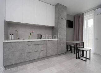 Продается квартира студия, 29.7 м2, Казань, улица Николая Ершова, 65Б/2, ЖК Нобелевский