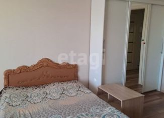 1-ком. квартира в аренду, 43 м2, Нижний Новгород, бульвар 60-летия Октября, 21к3, ЖК Белый Город