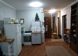 Продается квартира студия, 25.3 м2, Новосибирск, улица Территория Горбольницы, 1, улица Территория Горбольницы