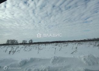 Продажа земельного участка, 8 сот., село Новое Барятино, Центральная улица, 18