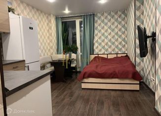 Продажа квартиры студии, 25 м2, Мурино, Охтинская аллея, 10к1, ЖК Девятый вал