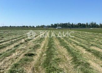 Продажа земельного участка, 320 сот., село Амерево, Новорязанское шоссе, 110-й километр