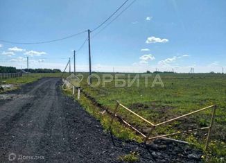 Продам земельный участок, 12 сот., деревня Насекина, Центральная улица