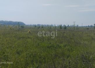 Продам земельный участок, 23 сот., село Раково
