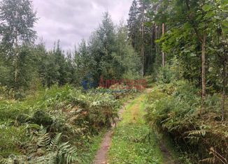 Продаю участок, 8 сот., СНТ Светлое-2