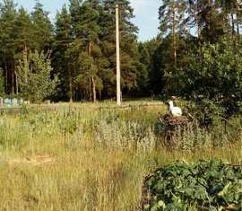 Дом на продажу, 60 м2, село Пристанское