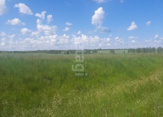 Продажа участка, 16000 сот., деревня Дурасовка