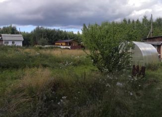 Продажа дома, 50 м2, СНТ Синильга, 2-я улица, 83