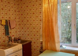 Продаю однокомнатную квартиру, 25.1 м2, деревня Денисовы, Коммунальная улица, 2