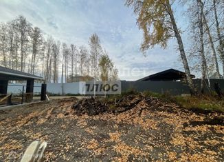 Продам земельный участок, 8 сот., посёлок Вавиловец, Берёзовая улица