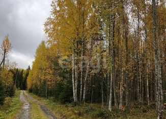 Продам участок, 12.5 сот., СНТ Ветеран-1