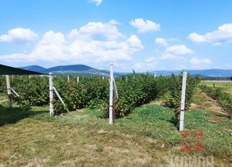 Участок на продажу, 100 сот., село Орлиное, Широкая улица