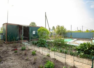 Дом на продажу, 30 м2, СНТ Нива, Центральная улица