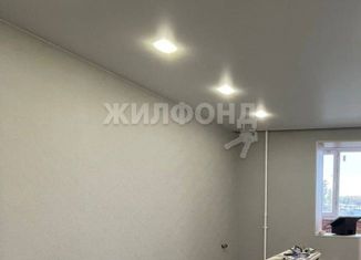 Квартира на продажу студия, 24.3 м2, село Каменка, микрорайон Олимпийской славы, 2