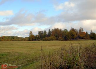 Продам земельный участок, 240 сот., поселок Синицыно, Дачная улица