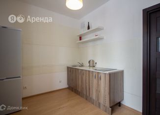 Сдача в аренду 1-комнатной квартиры, 33 м2, Кудрово, Столичная улица, 6к1