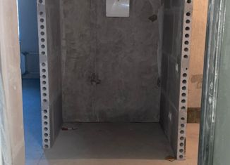 Продажа квартиры студии, 24.5 м2, Мурино, Екатерининская улица, 17