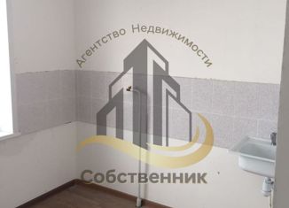 Продам 1-комнатную квартиру, 38 м2, поселок Троицкий, Центральная улица, 18