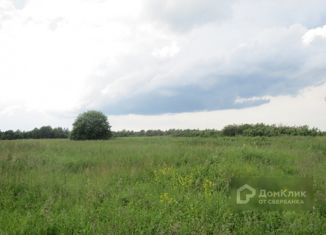 Продается земельный участок, 15 сот., деревня Чашницы, Центральная улица
