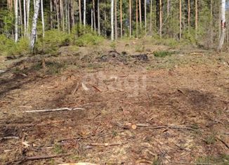 Продаю земельный участок, 20 сот., село Таватуй