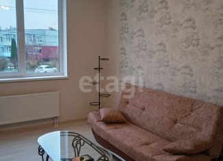 Продаю двухкомнатную квартиру, 42 м2, поселок Шоссейное, Калининградское шоссе, 24Ак1