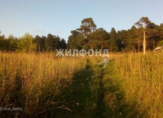 Продажа земельного участка, 40 сот., деревня Новососедово, Фермерская улица