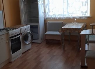 Сдача в аренду 2-комнатной квартиры, 54.6 м2, деревня Бегуницы, деревня Бегуницы, 83