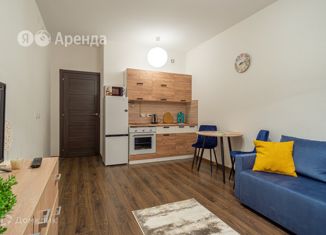 Квартира в аренду студия, 24 м2, Санкт-Петербург, Верхне-Каменская улица, 7к1