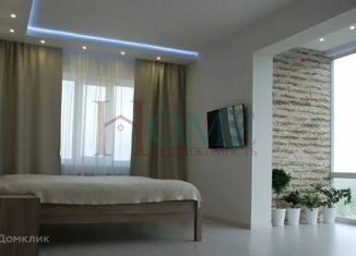 Сдаю в аренду 1-ком. квартиру, 40 м2, Новосибирск, Красный проспект, 179/1А