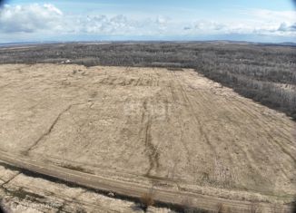 Участок на продажу, 310 сот., Осиновореченское сельское поселение