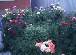 Продается дом, 150 м2, станица Ольгинская, Нижне-Луговая улица