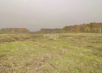 Продаю участок, 8 сот., село Горьковка, Сибирская улица