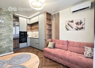 Сдается 1-ком. квартира, 31 м2, Санкт-Петербург, Плесецкая улица, 10