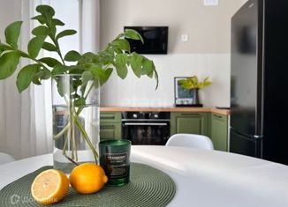 Продажа двухкомнатной квартиры, 42 м2, Новосибирск, улица Ленина, 30/1, улица Ленина